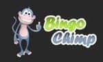 bingo chimp