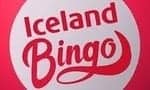 bingo iceland logo