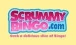 Scrummy-Bingo-logo#