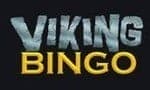 viking bing logo