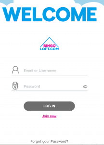 bingo loft login bingo loft login