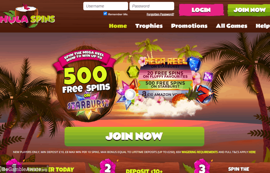 Hula Spins home page