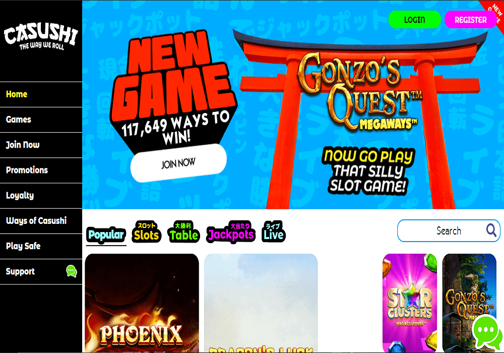 bingocams home PAGE