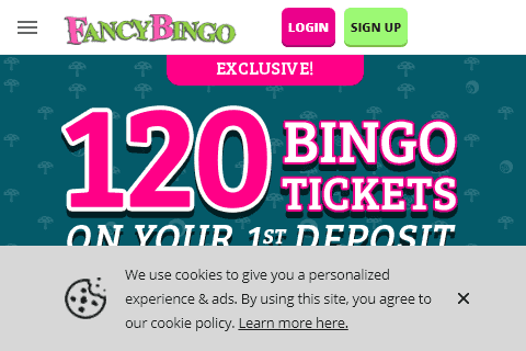 fancy bingo 480 image