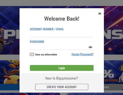 bingo login