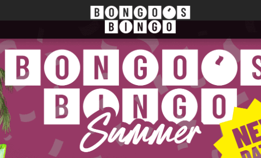 bingo bango bongo office